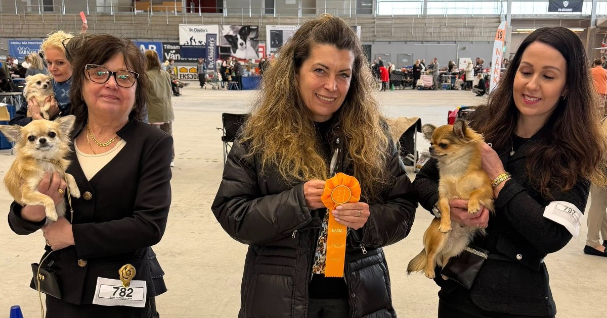 Triangel Joy Breeze Wins Junior Spring Winner 2026